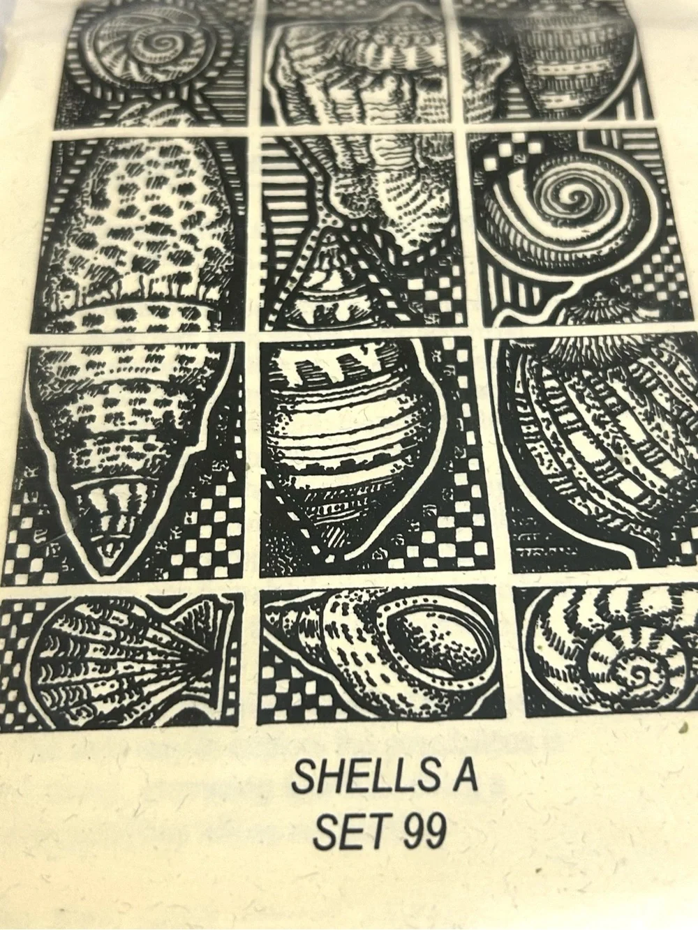 Impress Me Shells Design Unmounted Rubber Stamps Block vintage 1996